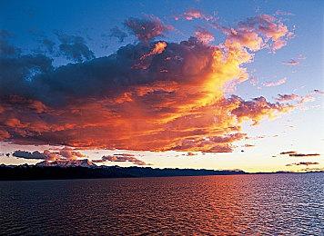 《蝙蝠侠阿卡姆三部曲》宣布登陆Switch平台